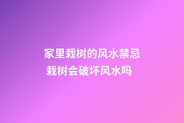 家里栽树的风水禁忌 栽树会破坏风水吗